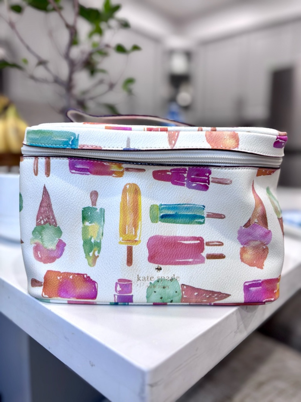 ❤️rare❤️ Kate spade new york ice cream popsicle flavour of the month make up bag